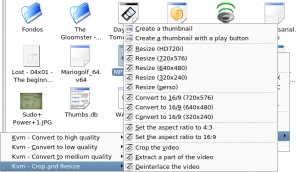 Konqueror Video Menu