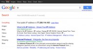 MI IP en Google