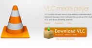 VLC 2.0 TwoFlower