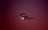 ubuntu