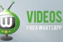 Los mejores vídeos para WhatsApp