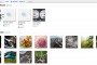 Picasa ya está integrada dentro de Google +