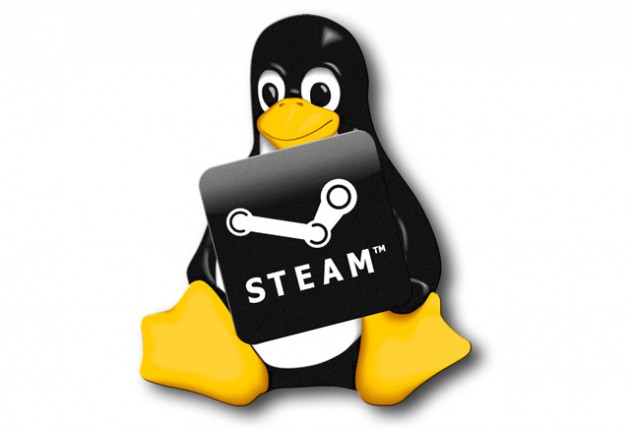 Acceder a la beta limitada de Steam para Linux