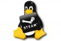 Acceder a la beta limitada de Steam para Linux