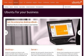 Ubuntu Business Desktop Remix