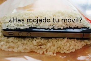 movil mojado