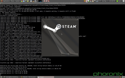 Capturas de Steam para GNU/Linux